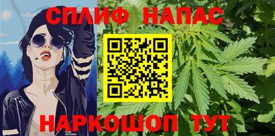 шишки Заводоуковск