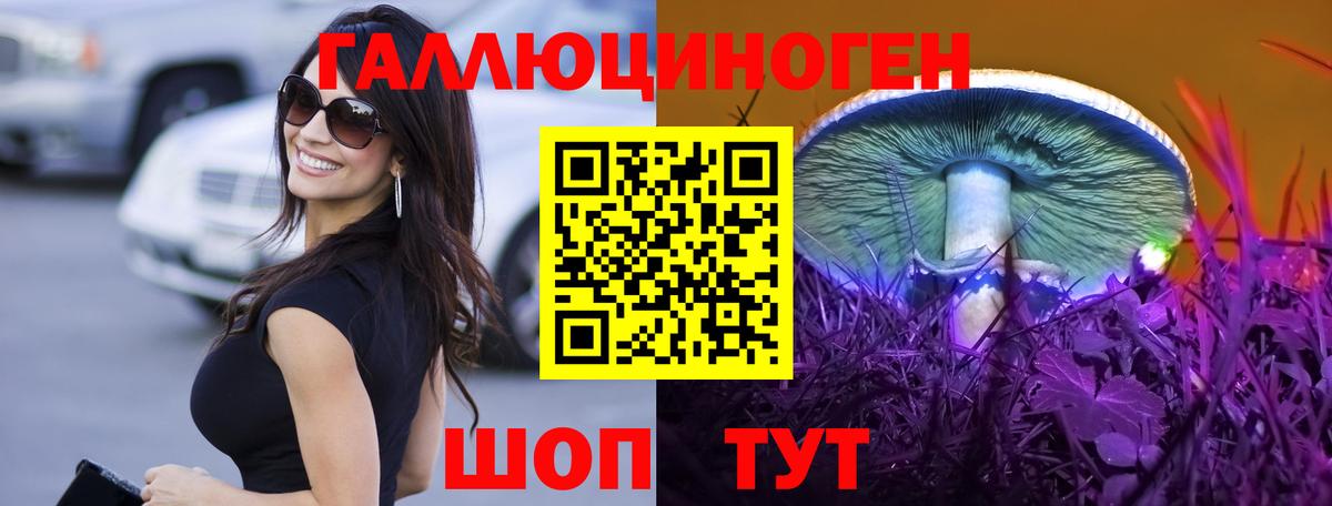 Луга  Галлюциногенные грибы Cubensis  что такое   Вход с VPN 